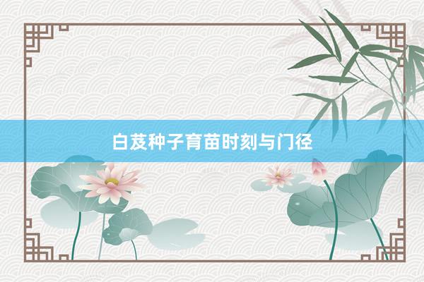 白芨种子育苗时刻与门径