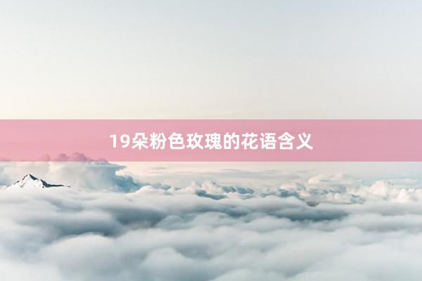 19朵粉色玫瑰的花语含义