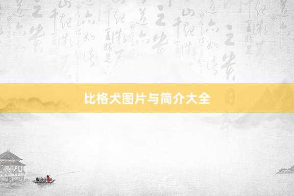 比格犬图片与简介大全