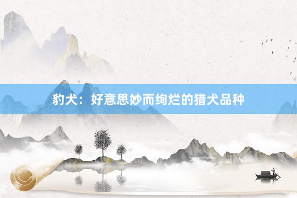 豹犬：好意思妙而绚烂的猎犬品种